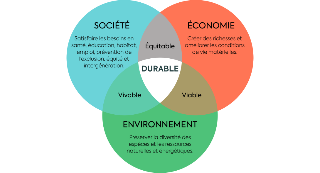 Comprendre les enjeux RSE