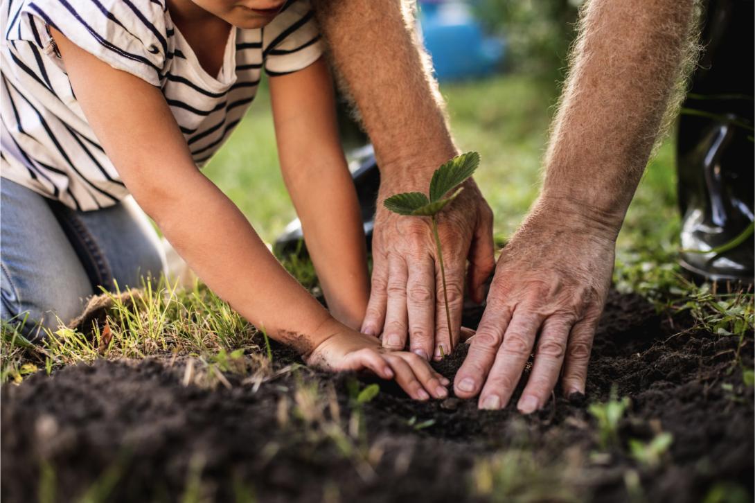 Quel produit choisir pour faire un investissement écologique ?
